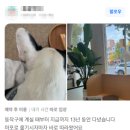 광화문동물병원 이미지