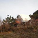 용화 농장 Daum카페