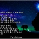 물소리바람소리 이미지