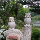 탑골농장 이미지