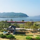 세가닥 한국일보