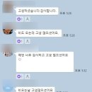 용인대성공태권도장 이미지