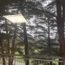 상상카프라자 | 강원 평창 | 용평리조트 모나용평 빌라콘도 28 J동, 발왕산 케이블카 내돈내산 후기