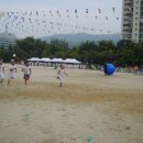 청솔초등학교 이미지