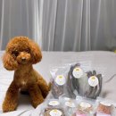 더야무지개 이미지