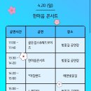 가평 벚꽃축제 에덴벚꽃길 4월 12일 방문 후기 축제기간 4월 20일까지 연장 !