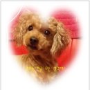남촌도림동-32 이미지
