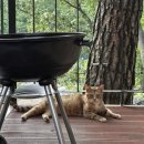 욱이네펜션 | 가평 해목글램핑 솔직후기 객실 추천 객실 덕이네 비추 후기