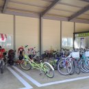 왕피천공원 자전거대여소 이미지