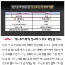 채식주의자 완벽 해석3 - 몽고반점 의미?