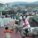 유 애 묘 이미지