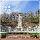 봄;꽃이피다 | 봉은사 주차 요금 주차장 식당 주말 꽃놀이 방문 후기