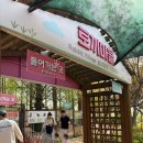 서서까페 | 안성팜랜드 30개월 아기랑 후기｜유채꽃, 팜키즈마을, 토끼마을 솔직 리뷰