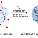 공콘택트렌즈 이미지