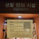 속초 여행 감성 숙소 추천 새로생긴 아늑 수림호텔