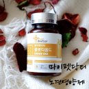 이안영농 | 마이펫닥터 노견영양제부터 거의다 먹여봤어요