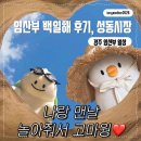 GS25 안중시장점 | [일상] 경주 맘존여성병원 백일해 후기, 성동시장, GS25 초코폭탄 시리얼