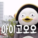 꽃보라사진관