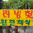 러빙헛제주점