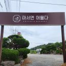 서천 국립생태원 카페 마서면 머물다 내돈내산 솔직후기
