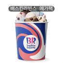 봉곡동123 | 배스킨라빈스 메가팩 사이즈 용량 가격 하프갤런과 차이