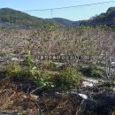 구산면418 네이버블로그