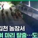 활보농장 이미지