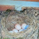 금강의하루민박 이미지