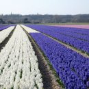 앤쏠로지 이미지