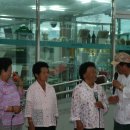 십일남매 이미지