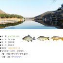 용면파크낚시터 이미지