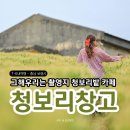 천북목장 | 보령 천북 청보리밭 카페 그해우리는 촬영지