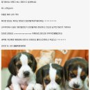 웰컴투더헬