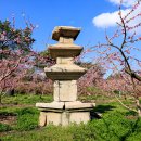 경산 대곡사지 삼층석탑 (慶山 大谷寺址 三層石塔) 이미지