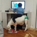 대박염소 네이버블로그