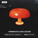 용인대K.A.T태권도 | 10/5(일) 브랜드 별 발매 및 응모 제품 정리✔
