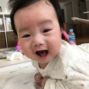 미비교 네이버블로그