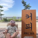 제부콤마씨(JEBU,SEA) | [ 제부도 오션뷰 카페 ] 😘 제부콤마씨 Jebu,Sea | 아기랑 다녀온 사진찍기 좋은 카페