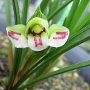 山川에서 이미지