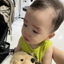 진월연합소아청소년과의원 | 율하연합소아청소년과의원 후기(해열주사, 수액후기,,)