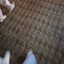 남강한의원 | 진주남강유등축제 부교 야시장 먹거리