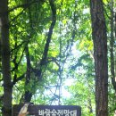 개나리공원 농구장 이미지