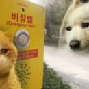 선비꼬마김밥청송점