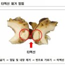 소라걸 이미지
