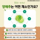 라반휘트니스성포점