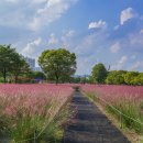 미사경정공원 이미지