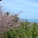 남목초교 이미지