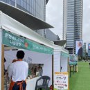 식생활교육박람회 현장 참여 후기(2)_코엑스 광장 / 건강`환경`배려 기준 콘텐츠 체험, 전시
