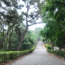 침산공원 이미지