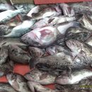 프라임펜션 이미지